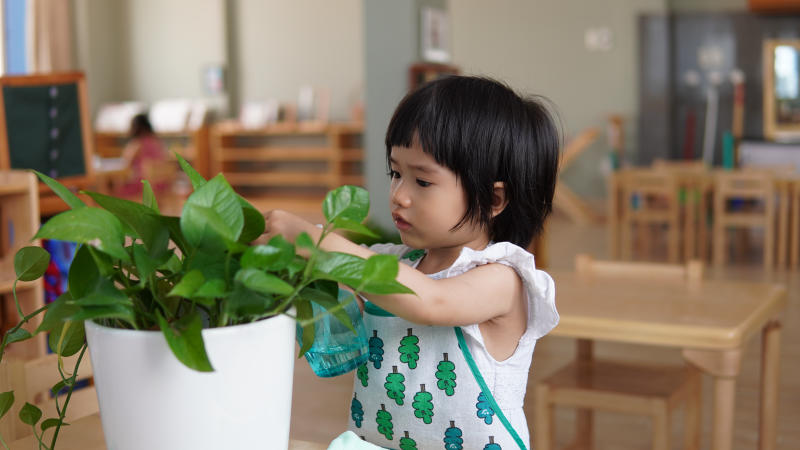 Trẻ không thể nói được một câu hoàn chỉnh bố mẹ cũng cần phải lưu ý